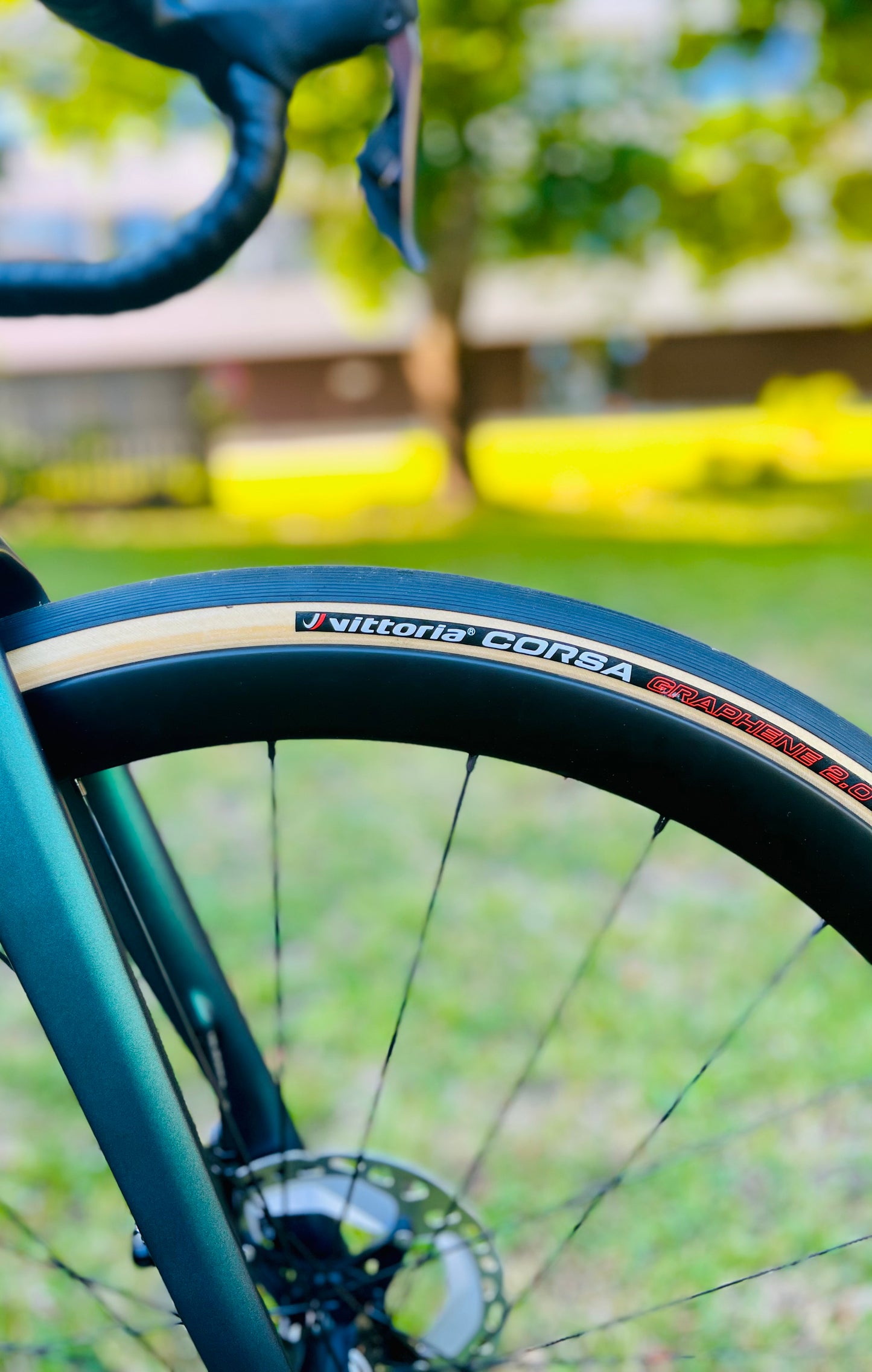 Diamante SV size 56 Ultegra Di2**NEW**