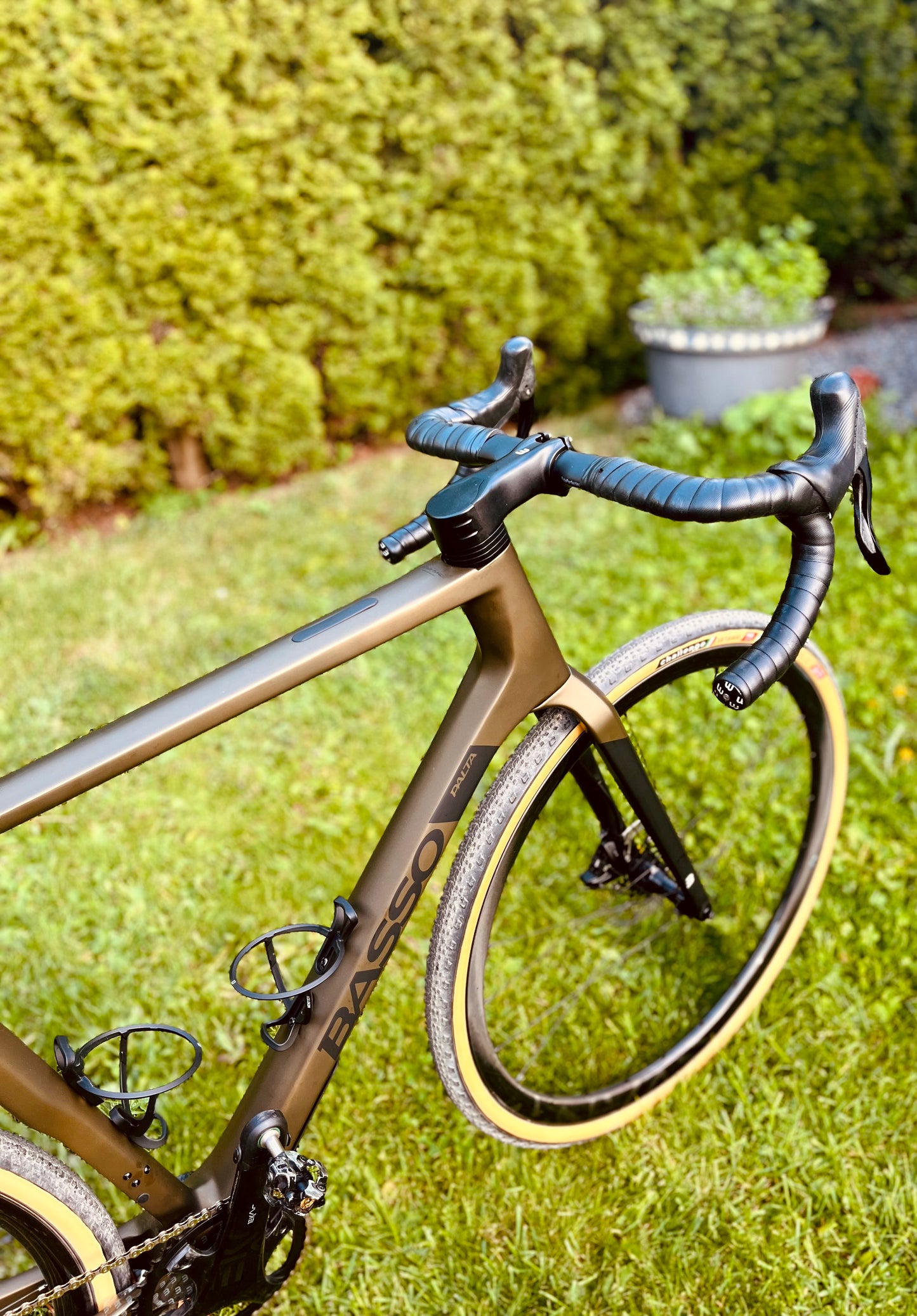 Rental - Basso Palta II Gravel Bike size L